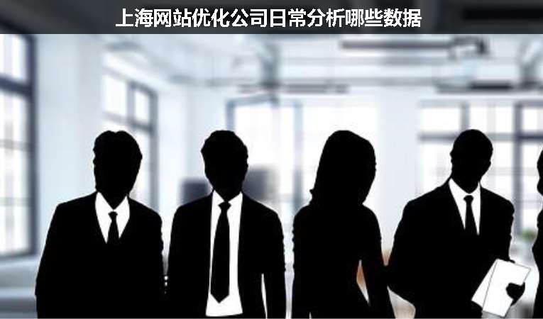 上海網站優(yōu)化公司日常分析哪些數據