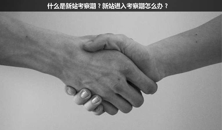 什么是新站考察期？新站進(jìn)入考察期怎么辦？