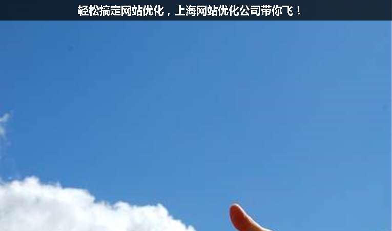 輕松搞定網站優(yōu)化，上海網站優(yōu)化公司帶你飛！