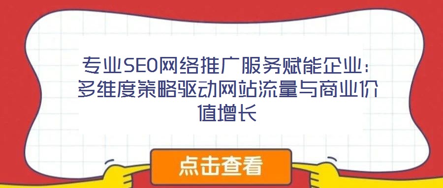  專業(yè)SEO網(wǎng)絡(luò)推廣服務(wù)賦能企業(yè)：多維度策略驅(qū)動(dòng)網(wǎng)站流量與商業(yè)價(jià)值增長(zhǎng)