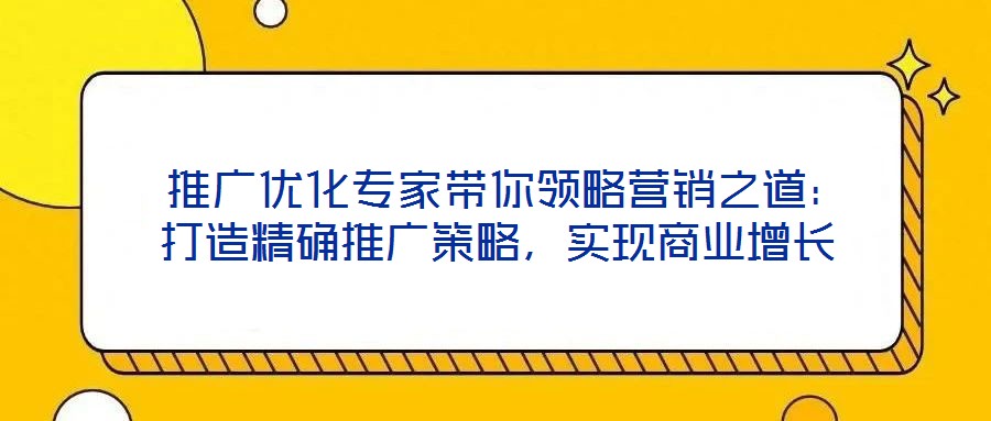  推廣優(yōu)化專家?guī)泐I(lǐng)略營銷之道：打造精確推廣策略，實(shí)現(xiàn)商業(yè)增長